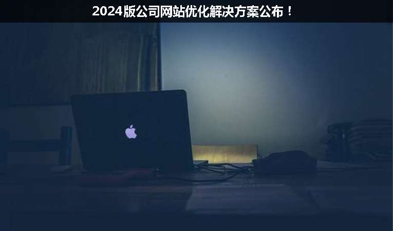 2024版公司網站優化解決方案公布！