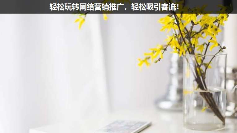 輕松玩轉網絡營銷推廣,輕松吸引客流!