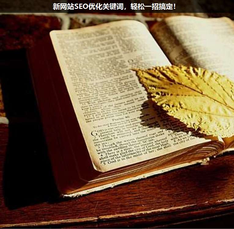 新網站SEO優化關鍵詞,輕松一招搞定!