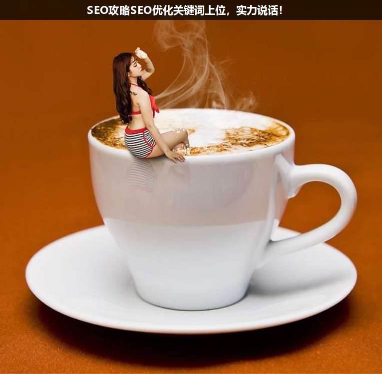 SEO攻略SEO優化關鍵詞上位,實力說話!