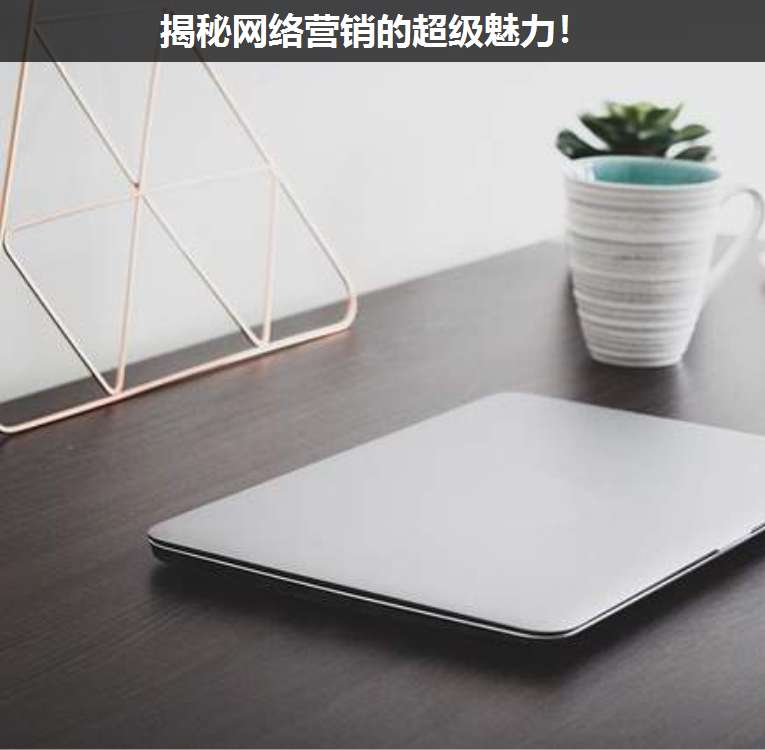 揭秘網絡營銷的超級魅力!