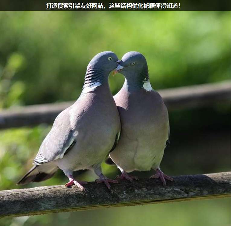 打造搜索引擎友好網站,這些結構優化秘籍你得知道!